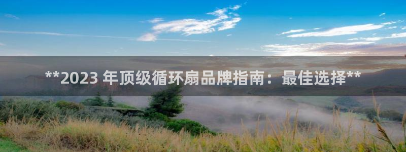 凯发注册手机版官网：**2023 年顶级循环扇品牌指南：最佳选择**