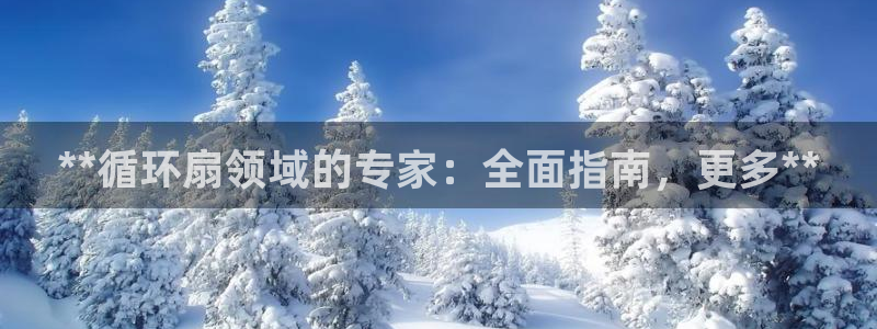 凯发平台敌7O777：**循环扇领域的专家：全面指南，更多**