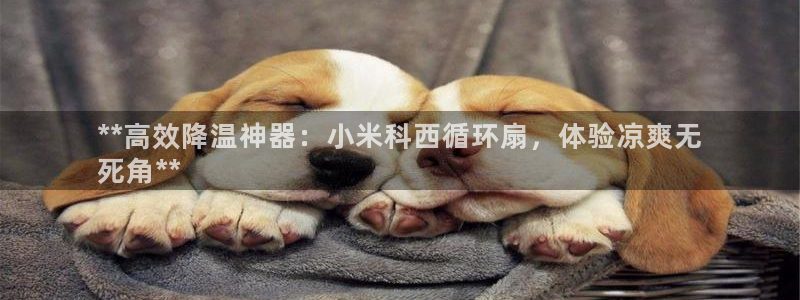 凯发官网登录免费下载：**高效降温神器：小米科西循环扇，体验凉爽无
死角**