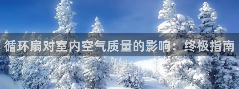 凯发官网下载客户端：循环扇对室内空气质量的影响：终极指南