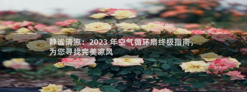 凯发k8娱乐平台下载：静谧清凉：2023 年空气循环扇终极指南，
为您寻找完美凉风