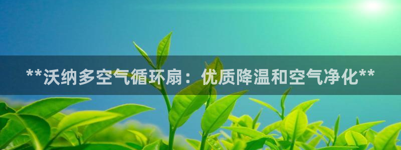 凯发注册手机版官网：**沃纳多空气循环扇：优质降温和空气净化**
