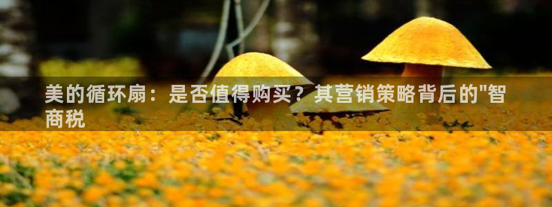 凯发k8娱乐：美的循环扇：是否值得购买？其营销策略背后的\