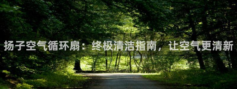 凯发平台8：扬子空气循环扇：终极清洁指南，让空气更清新