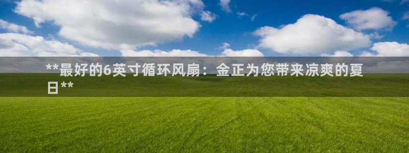 凯发手机app官网：**最好的6英寸循环风扇：金正为您带来凉爽的夏
日**