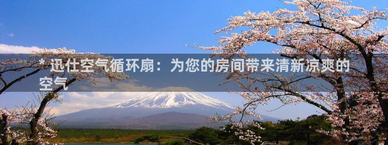 国际凯发k8真人版旗舰厅：* 迅仕空气循环扇：为您的房间带来清新凉爽的
空气