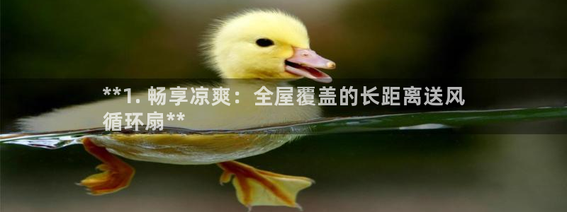 凯发k8娱乐官网入：**1. 畅享凉爽：全屋覆盖的长距离送风
循环扇**