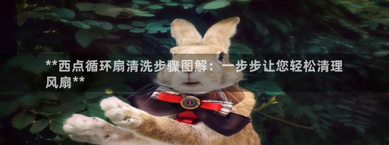 凯发旗舰厅登录免费下载：**西点循环扇清洗步骤图解：一步步让您轻松清理
风扇**