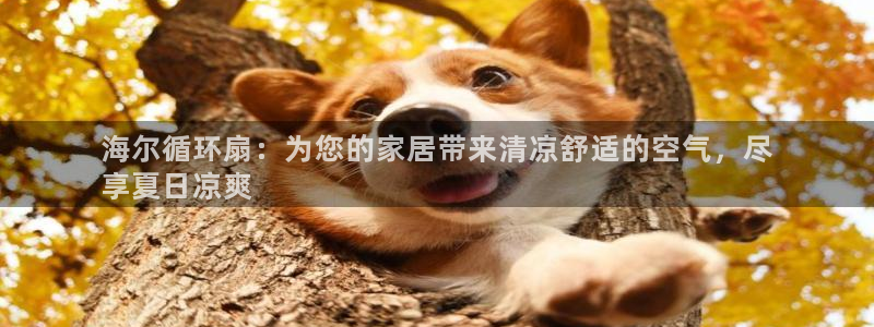 凯发官方:访问凯发.网站：海尔循环扇：为您的家居带来清凉舒适的空气，尽
享夏日凉爽