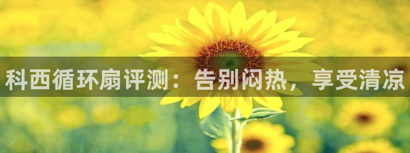 凯发官方在线：科西循环扇评测：告别闷热，享受清凉