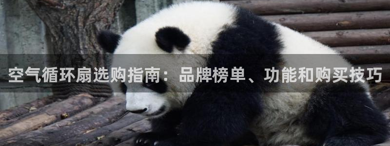 凯发注册网站：空气循环扇选购指南：品牌榜单、功能和购买技巧