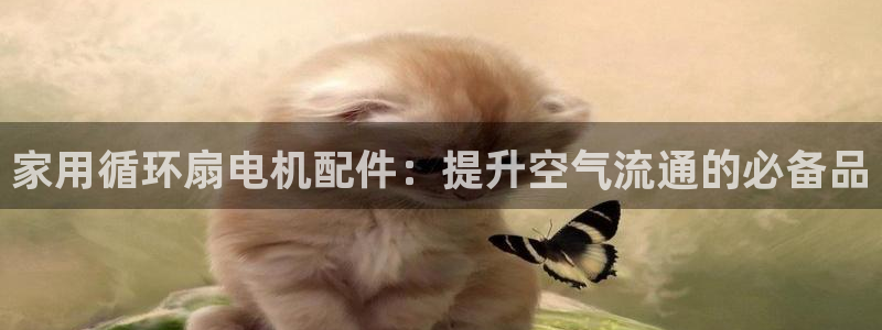 凯发k8娱乐是国内平台?：家用循环扇电机配件：提升空气流通的必备品