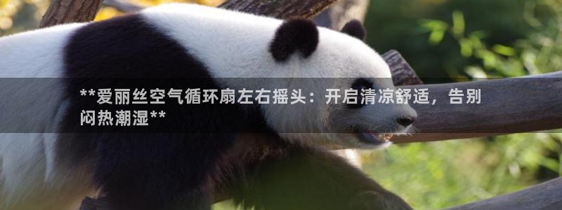 凯发手机唯一：**爱丽丝空气循环扇左右摇头：开启清凉舒适，告别
闷热潮湿**