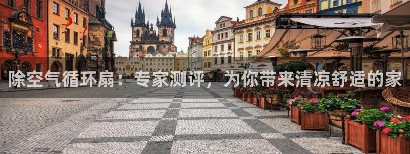 凯发平台首7O777：除空气循环扇：专家测评，为你带来清凉舒适的家