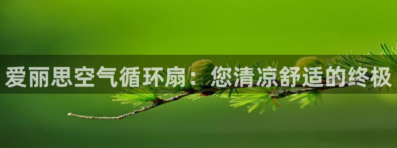 凯发k8国际版官网：爱丽思空气循环扇：您清凉舒适的终极