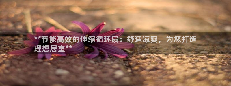k8凯发官方找就送38：**节能高效的伸缩循环扇：舒适凉爽，为您打造
理想居室**
