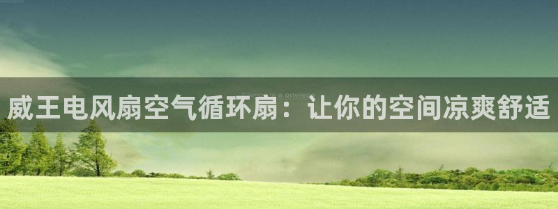凯发k8娱乐是真实的吗：威王电风扇空气循环扇：让你的空间凉爽舒适