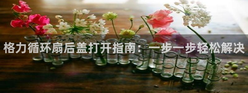 凯发k8官方：格力循环扇后盖打开指南：一步一步轻松解决