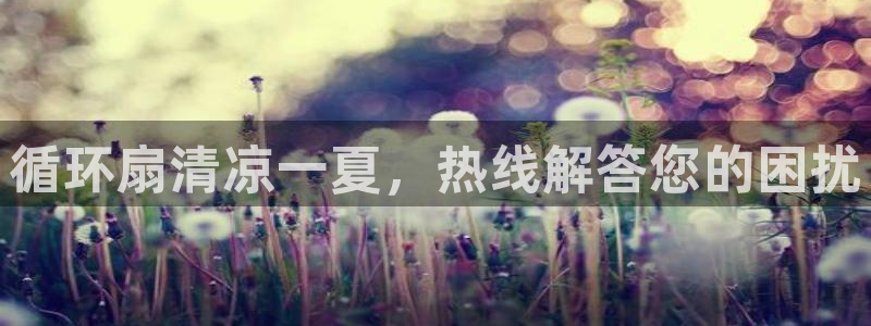 凯发官网手机app：循环扇清凉一夏，热线解答您的困扰