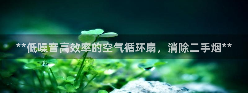 凯发app是干嘛的：**低噪音高效率的空气循环扇，消除二手烟**