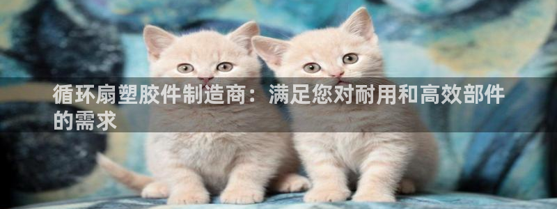 凯发注册平台安卓版下载：循环扇塑胶件制造商：满足您对耐用和高效部件
的需求
