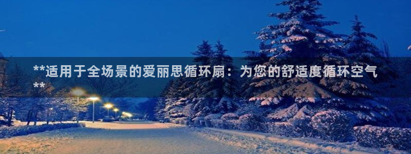 凯发国际网站首页：**适用于全场景的爱丽思循环扇：为您的舒适度循环空气
**
