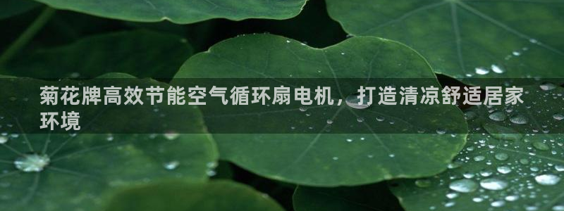 凯发k8官方网娱乐官方真：菊花牌高效节能空气循环扇电机，打造清凉舒适居家
环境