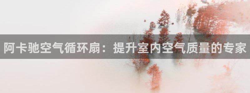 凯发k8官方旗舰店app：阿卡驰空气循环扇：提升室内空气质量的专家