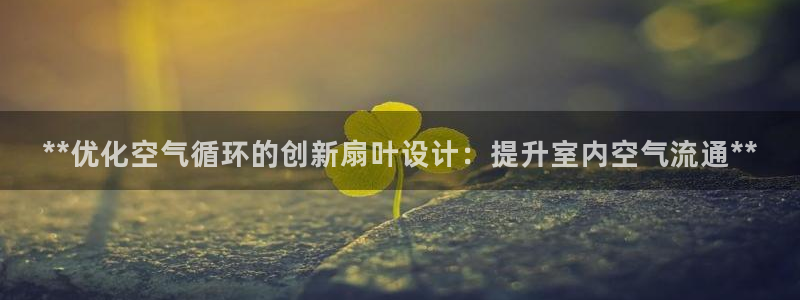 国际凯发k8真人版旗舰厅：**优化空气循环的创新扇叶设计：提升室内空气流通**