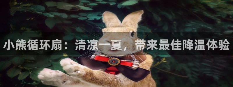 凯发平台网址：小熊循环扇：清凉一夏，带来最佳降温体验