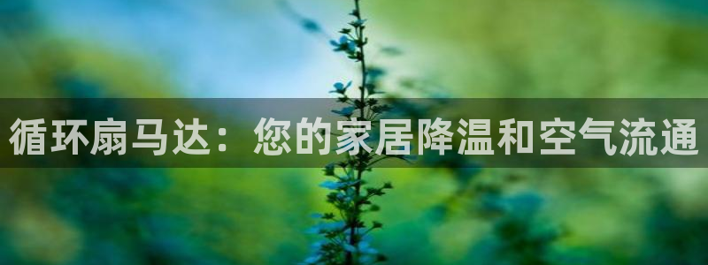 凯发国际是什么投资平台：循环扇马达：您的家居降温和空气流通