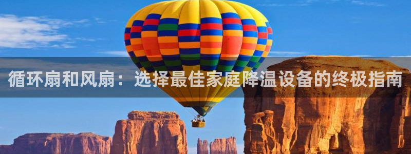 凯发国际怎么赚钱：循环扇和风扇：选择最佳家庭降温设备的终极指南