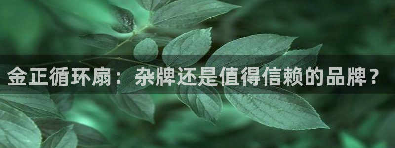 凯发官方手机app：金正循环扇：杂牌还是值得信赖的品牌？