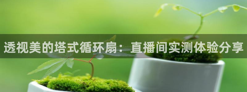 凯发手机官网客户端：透视美的塔式循环扇：直播间实测体验分享