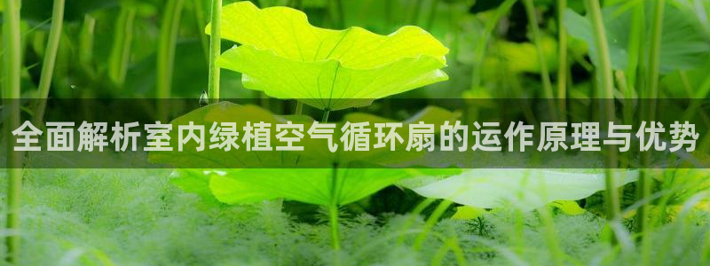 凯发最新官方app下载：全面解析室内绿植空气循环扇的运作原理与优势