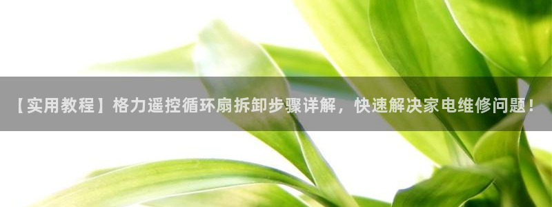 凯发官方网站下载：【实用教程】格力遥控循环扇拆卸步骤详解，快速解决家电维修问题！