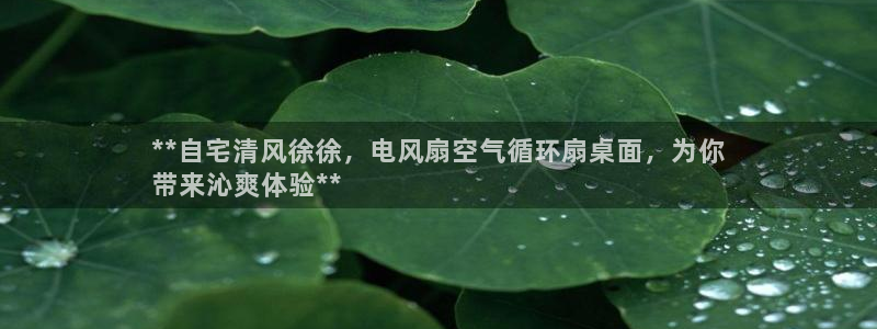 凯发k8娱乐手机版官网：**自宅清风徐徐，电风扇空气循环扇桌面，为你
带来沁爽体验**