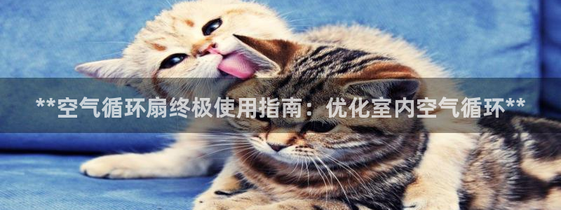 凯发官网登录手机版：**空气循环扇终极使用指南：优化室内空气循环**