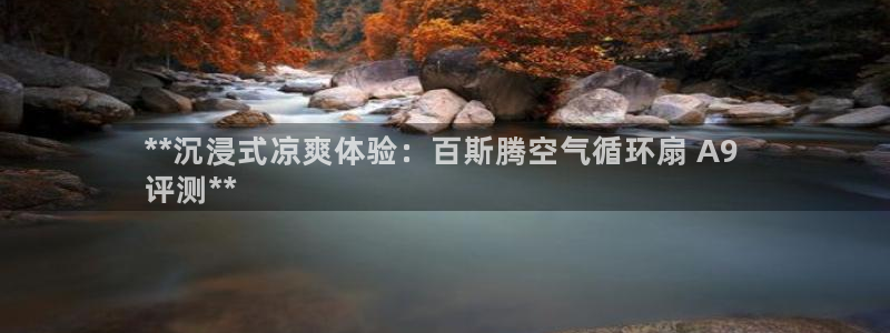 凯发手机唯一：**沉浸式凉爽体验：百斯腾空气循环扇 A9 
评测**