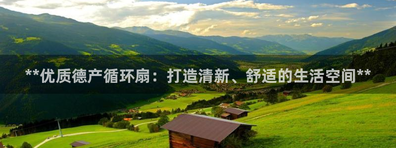 凯发k8娱乐平台下载：**优质德产循环扇：打造清新、舒适的生活空间**