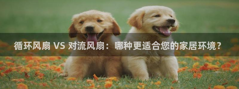 凯发国际娱乐官网k8：循环风扇 VS 对流风扇：哪种更适合您的家居环境？