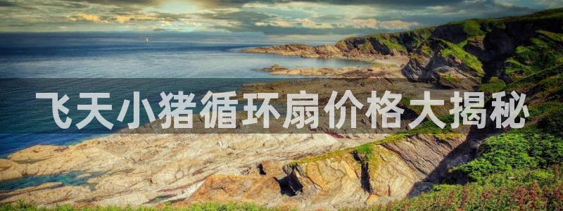 凯发k8网页登录：飞天小猪循环扇价格大揭秘