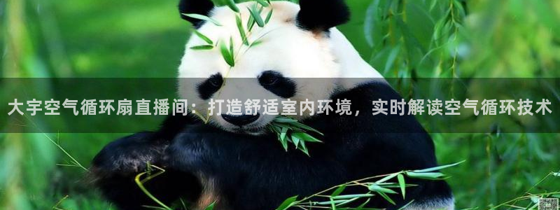 凯发注册网站：大宇空气循环扇直播间：打造舒适室内环境，实时解读空气循环技术