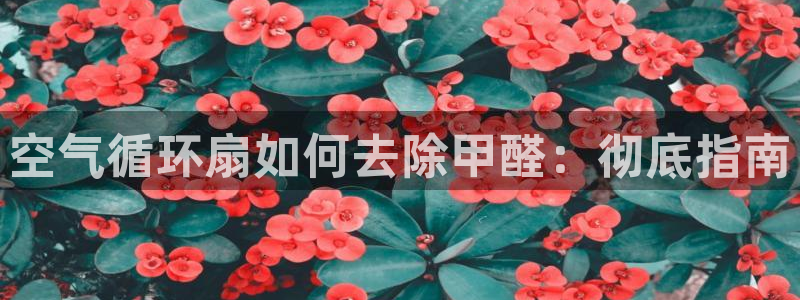 凯发k8娱乐官网入：空气循环扇如何去除甲醛：彻底指南