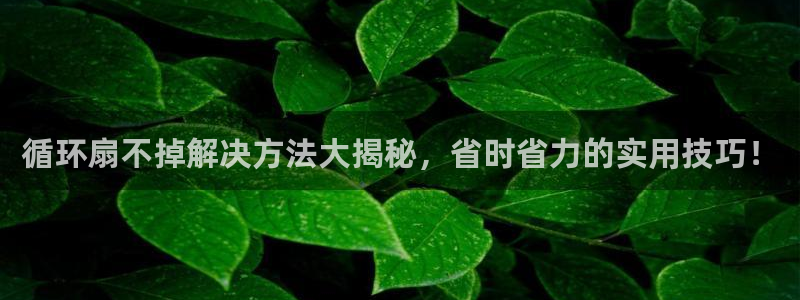 凯发登录网址：循环扇不掉解决方法大揭秘，省时省力的实用技巧！