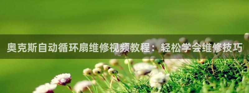 凯发k8娱乐官网地址app下载 | 首页：奥克斯自动循环扇维修视频教程：轻松学会维修技巧