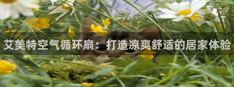 凯发a600丶cc官网首页：艾美特空气循环扇：打造凉爽舒适的居家体验