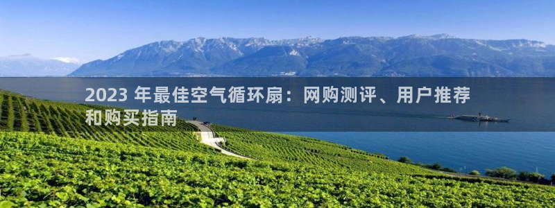 k8凯发国际首页：2023 年最佳空气循环扇：网购测评、用户推荐
和购买指南