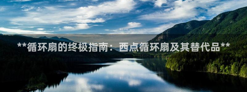 凯发app是干嘛的：**循环扇的终极指南：西点循环扇及其替代品**