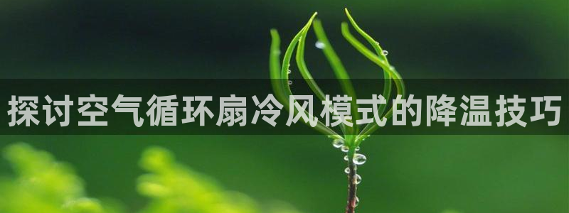 凯发k8娱乐官网地址app下载 | 首页：探讨空气循环扇冷风模式的降温技巧